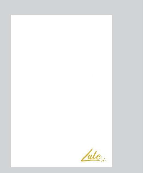 Lale Post Surgery Recovery Foam, Compression Belt Support for Liposuction, Tummy Tuck, BBL